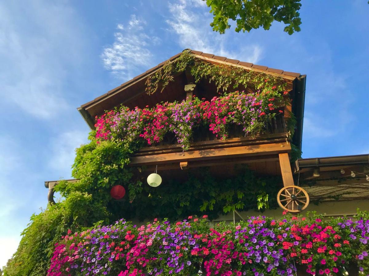 Bergblick Daire Weilheim in Oberbayern Dış mekan fotoğraf